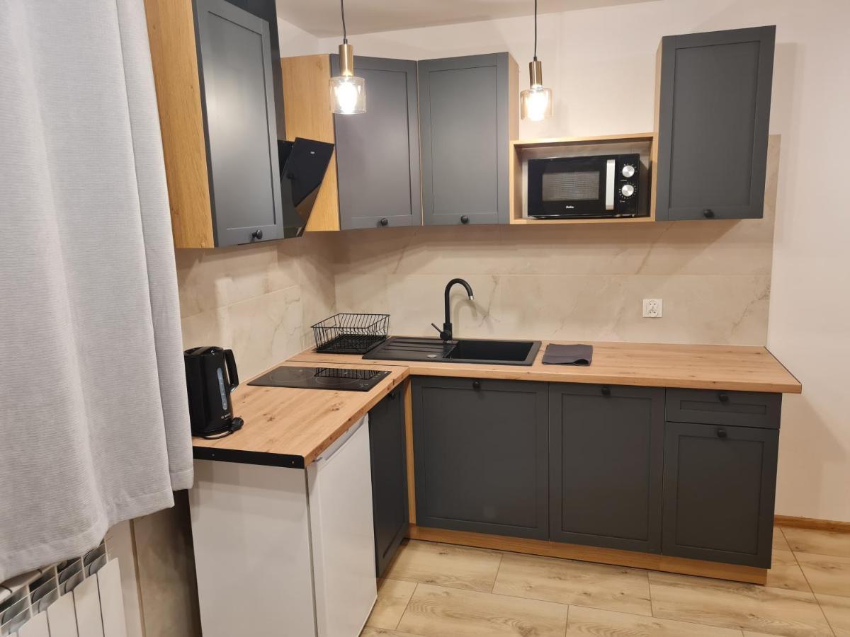Apartamenty Przy Srodkowej 53 ビャウカ エクステリア 写真