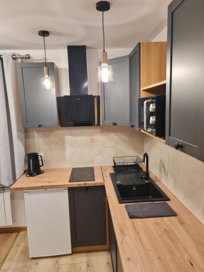 Apartamenty Przy Srodkowej 53 ビャウカ エクステリア 写真